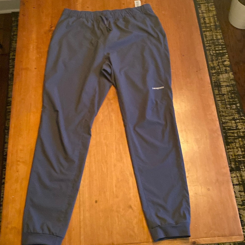 Patagonia Terrebonne Jogger